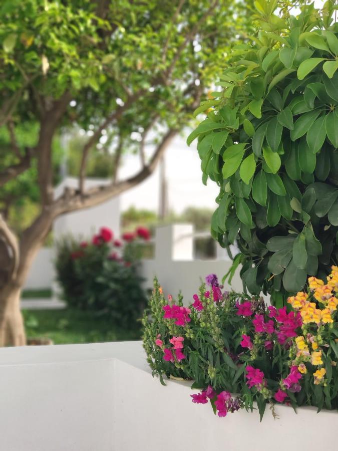 Вилла Alykes House Near The Sea Луца Экстерьер фото